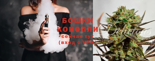 ПСИЛОЦИБИНОВЫЕ ГРИБЫ Арсеньев