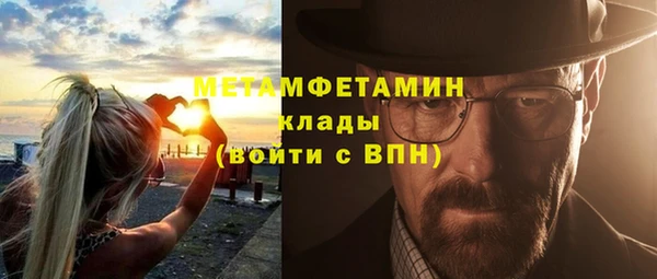 ПСИЛОЦИБИНОВЫЕ ГРИБЫ Арсеньев