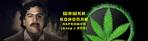 ECSTASY Аркадак