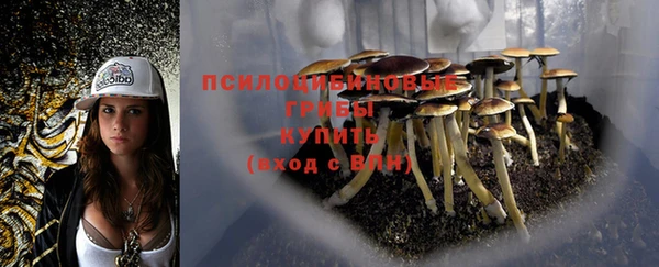 марки nbome Армянск