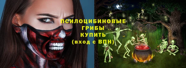 ПСИЛОЦИБИНОВЫЕ ГРИБЫ Арсеньев