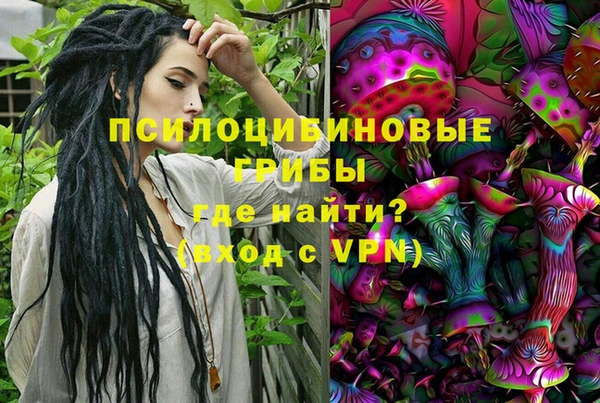 соль ск Лабытнанги