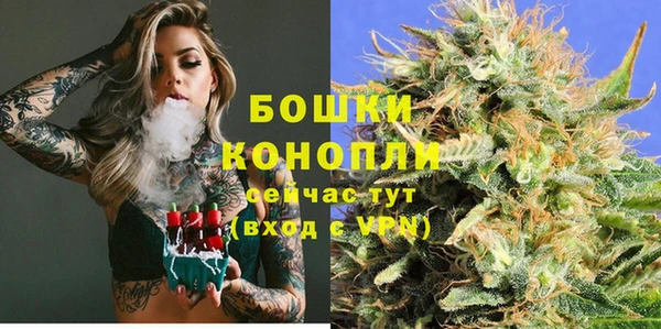 ПСИЛОЦИБИНОВЫЕ ГРИБЫ Арсеньев