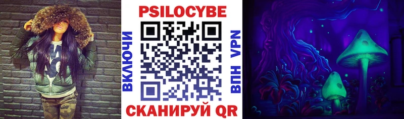 kraken вход Кинель Галлюциногенные грибы Magic Shrooms как найти