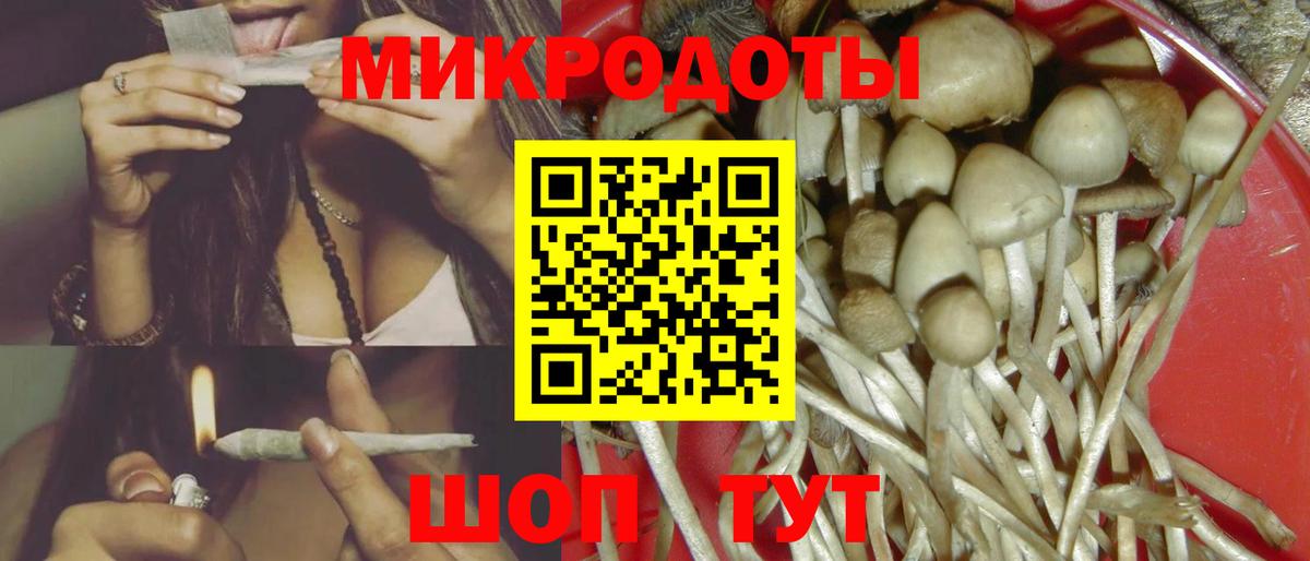 закладки  Псилоцибиновые грибы Cubensis  Вход с VPN  Галлюциногенные грибы MAGIC MUSHROOMS  Кинель 