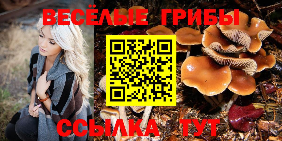 Галлюциногенные грибы Psilocybine cubensis Кинель